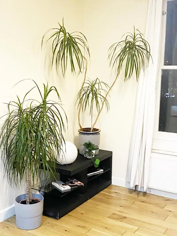 London'S Central East End 2 Bedroom City Apartments 0*, London